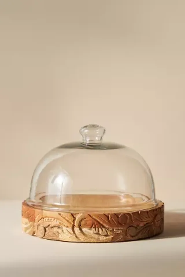 Cake Stand With Dome Anthropologie Clearance head.hesge.ch
