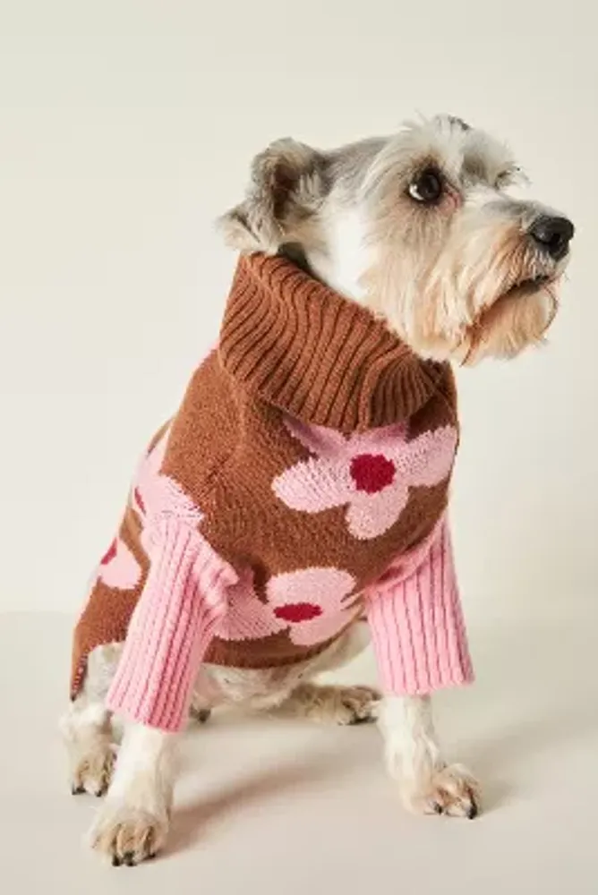 Dog sweaters best sale for miniature schnauzers