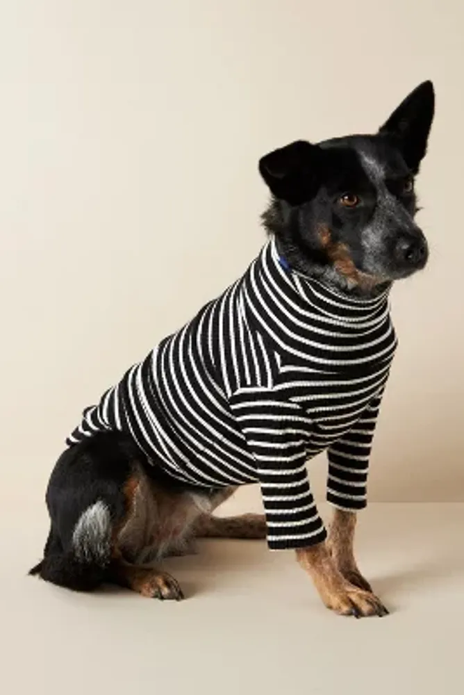 Anthropologie dog outlet sweater