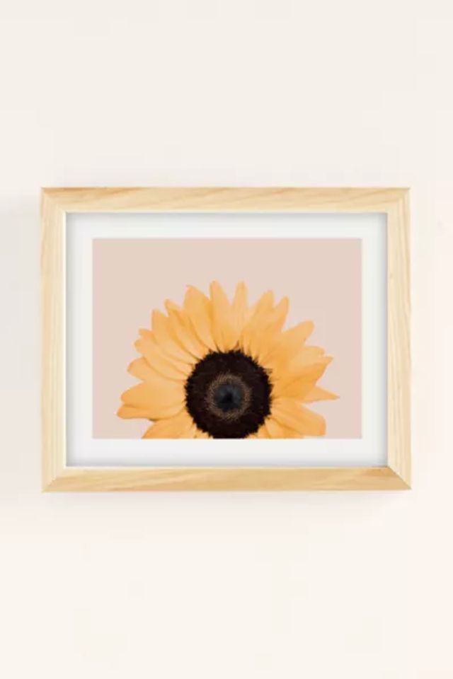 Coastwallart Mall of America®