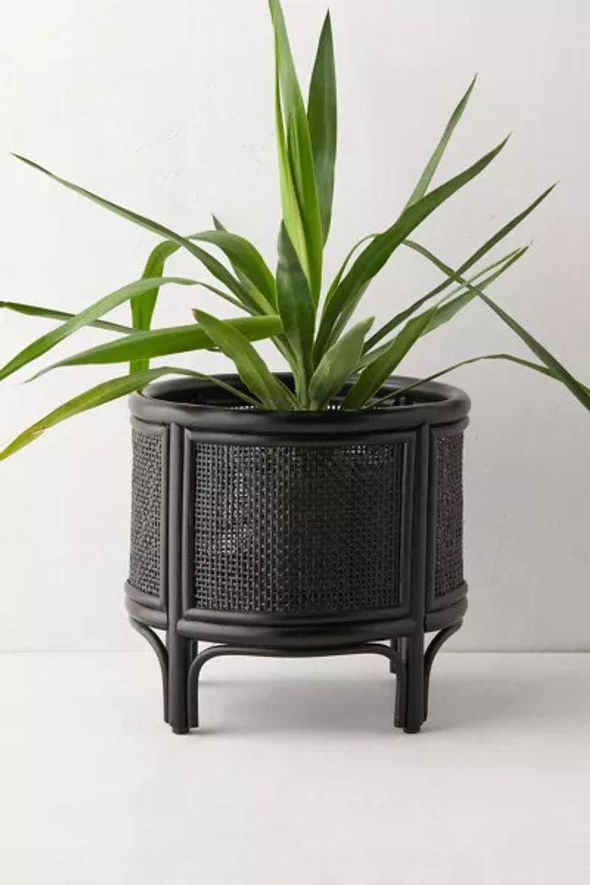 Urban Outfitters Rattan 12" Planter Mall of America®
