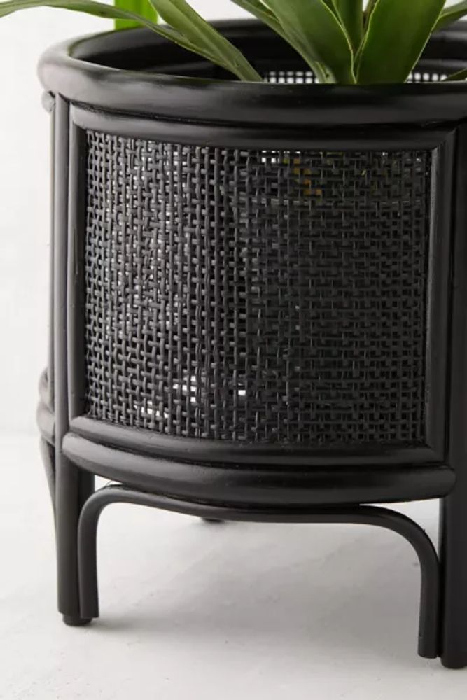 Urban Outfitters Rattan 12" Planter Mall of America®