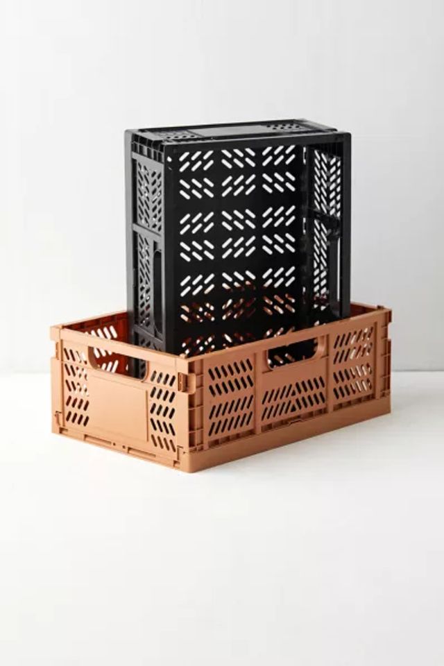 Colorart Mall of America®