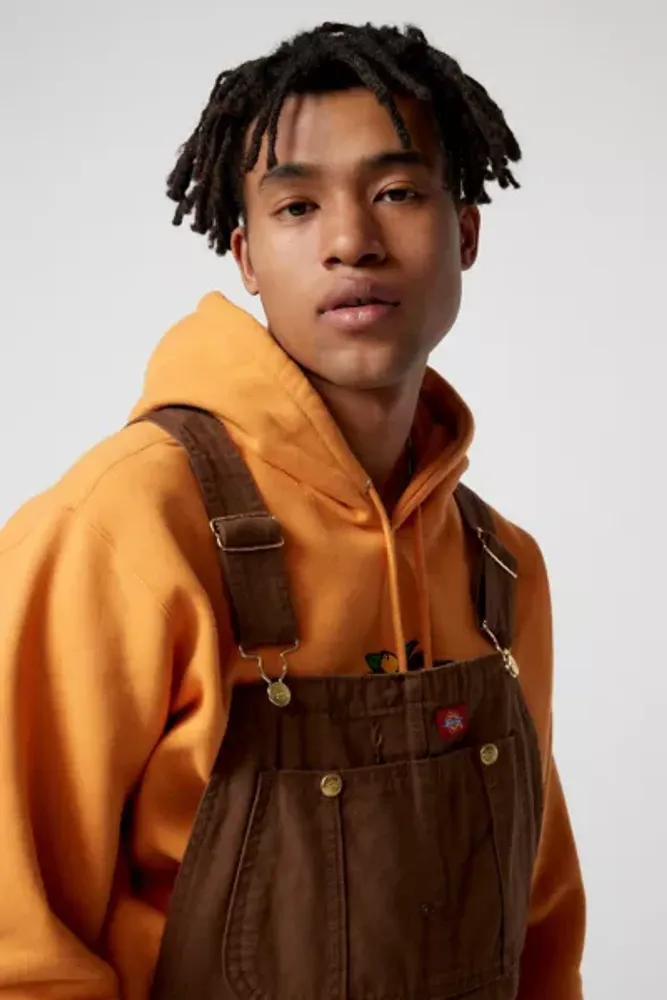 Urban Outfitters Dickies Duck Rinsed Denim Bib Overall | Mall of America®