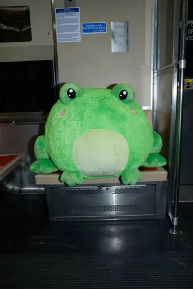 Giant kermit the frog deals stuffed animal