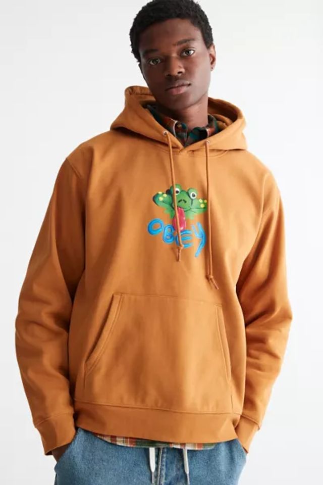 Stussy embroidered hot sale cactus hoodie