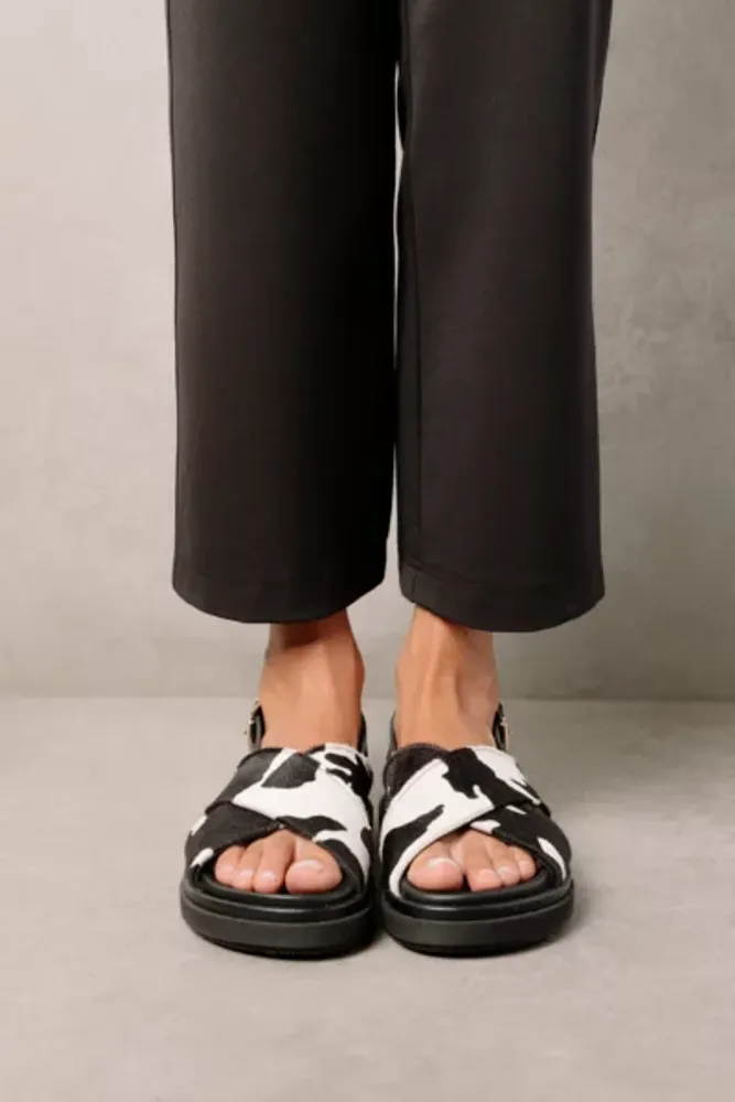 alohas cow print boots