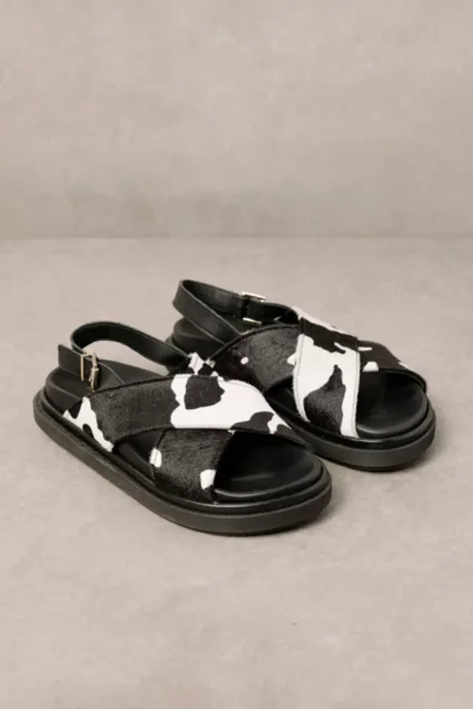 alohas cow print boots