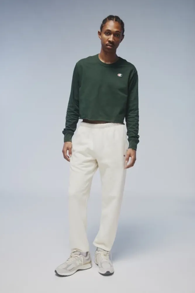 Champion uo exclusive sale cropped hoodie sweatshirt