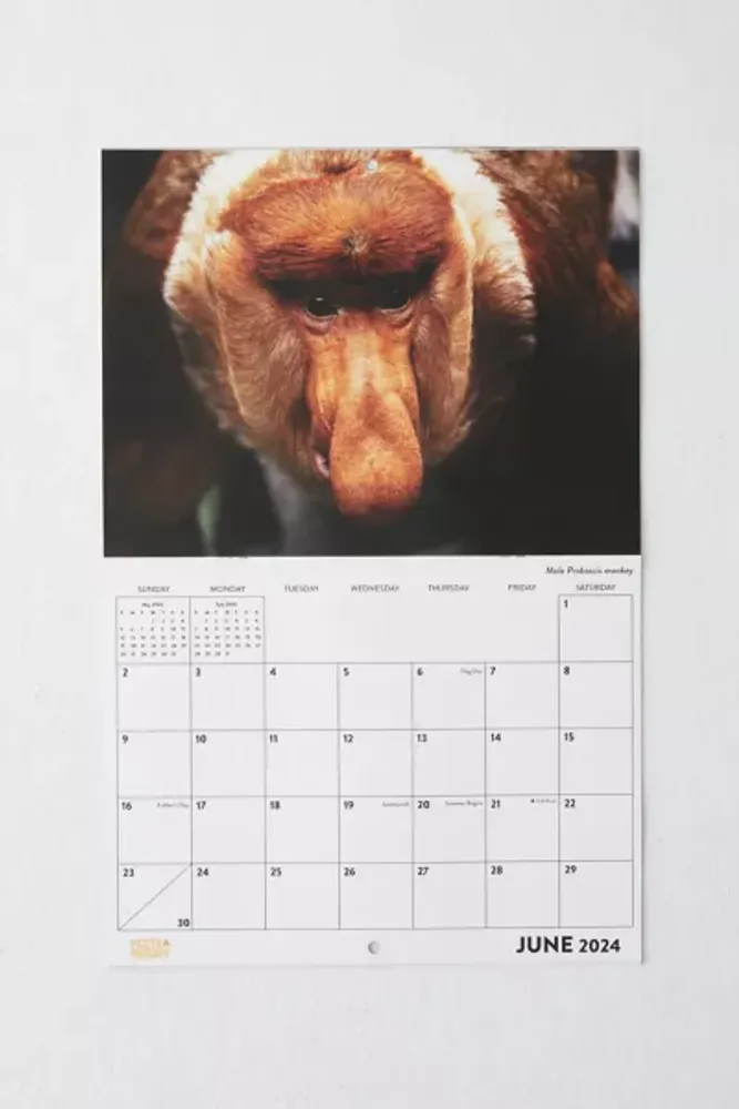Urban Outfitters Nature’s Dongs 2024 Wall Calendar Square One