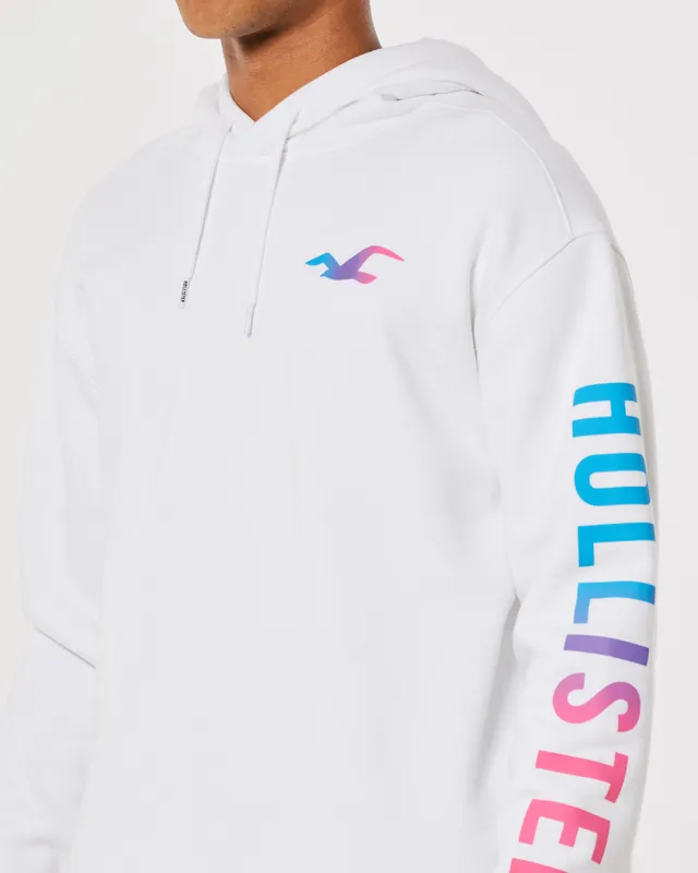 Rainbow hollister hoodie best sale