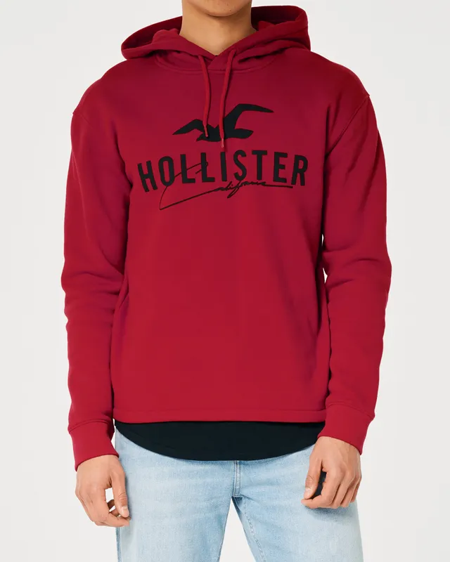 Hollister tech logo best sale hoodie