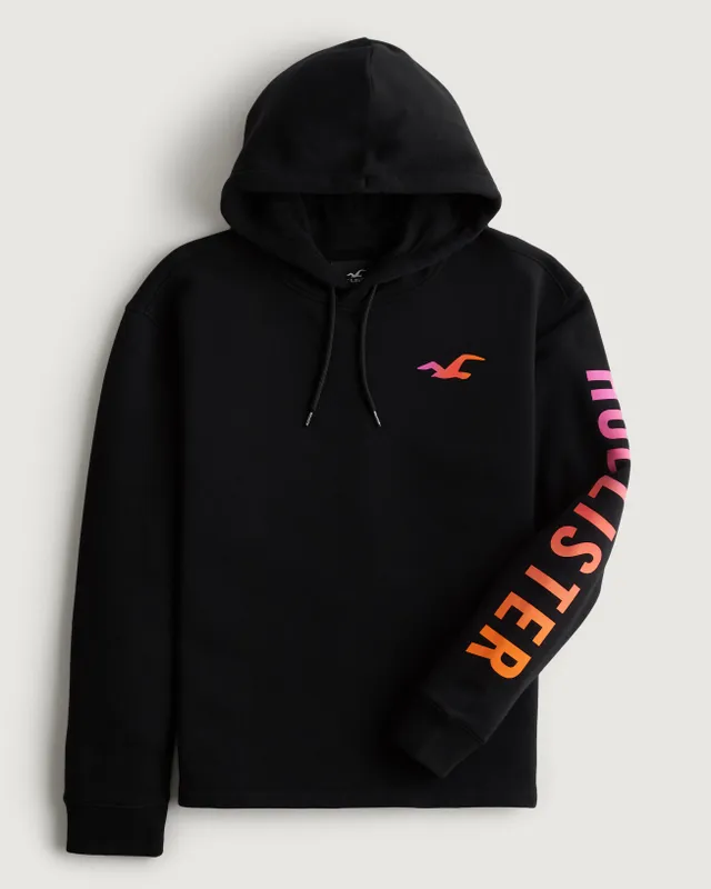 Hollister rainbow deals hoodie