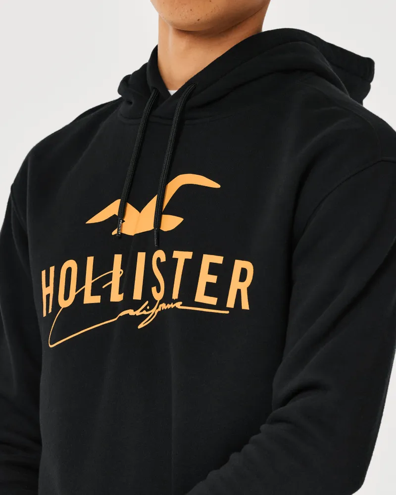 Hollister clearance black hoodie