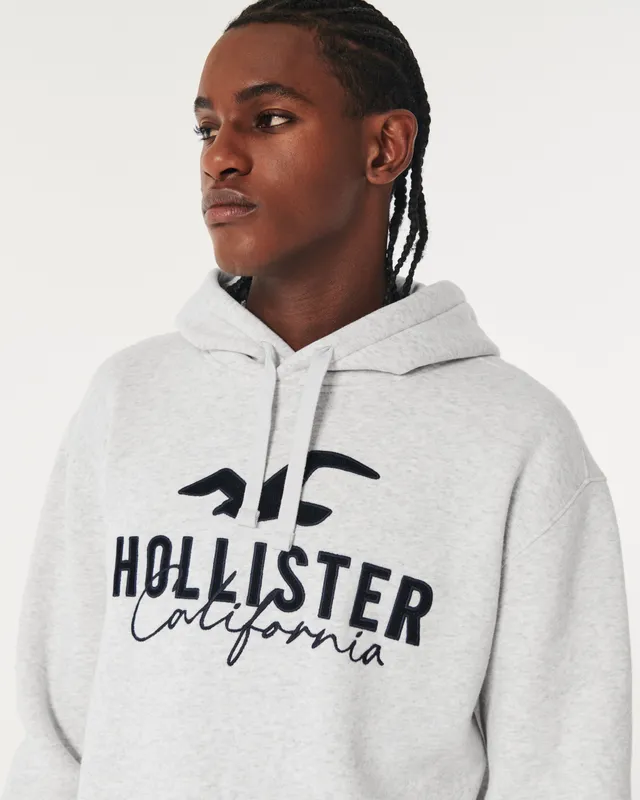 Hollister tech logo hoodie sales