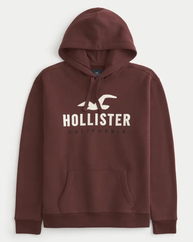 Hollister Logo Graphic Tee Hamilton Place
