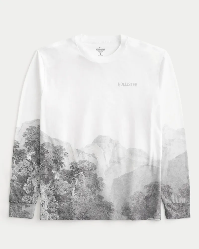 Hollister long deals sleeve graphic tee