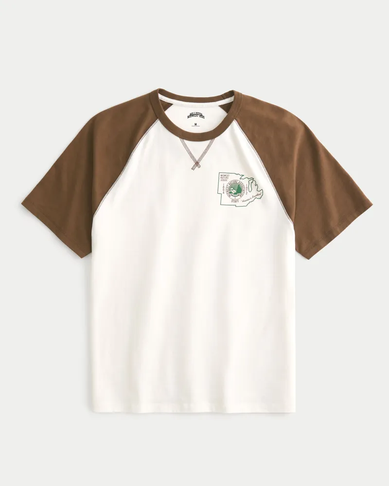 Hollister raglan sales