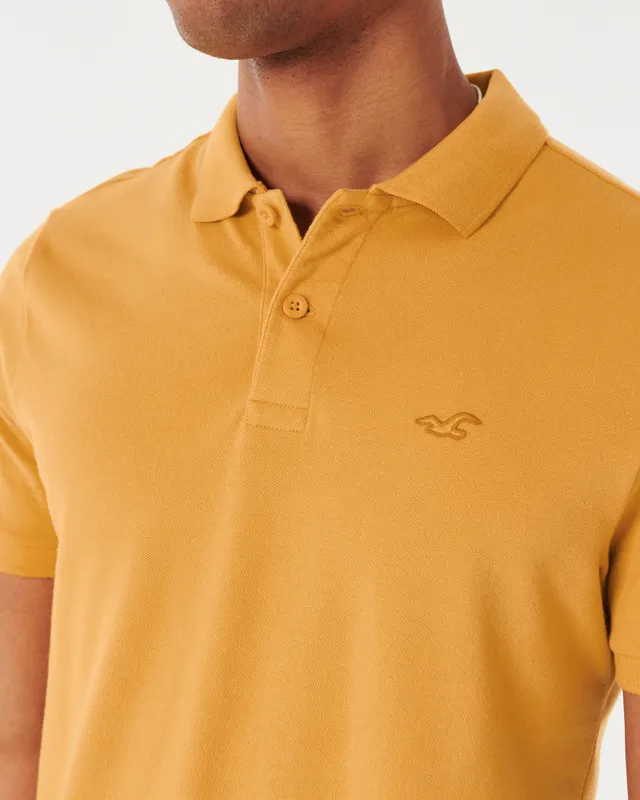 Hollister Icon Polo Hamilton Place