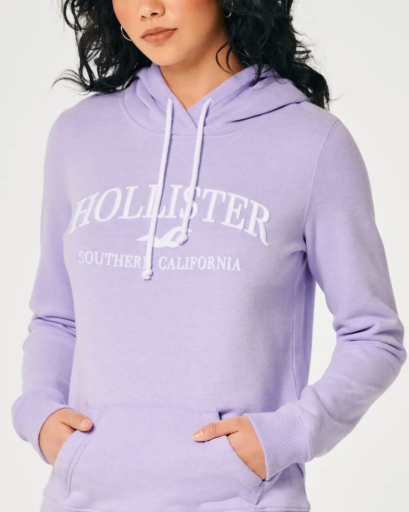 Hollister hoodie barn top