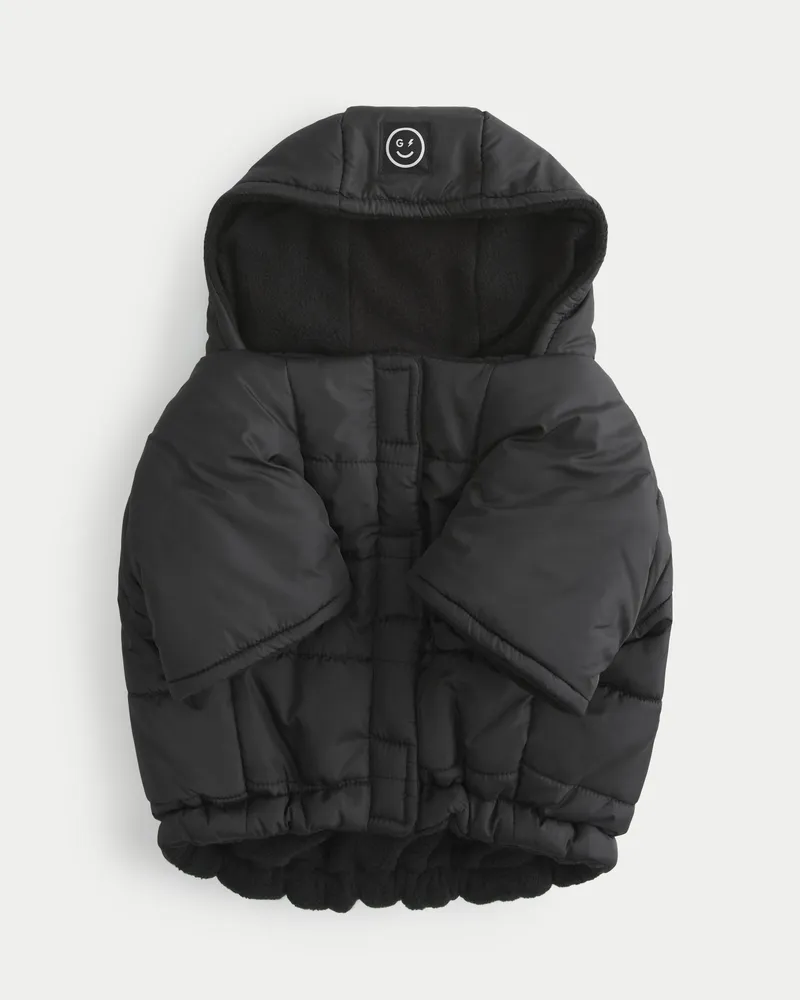 Hollister Gilly Hicks Puffer Pet Jacket CoolSprings Galleria