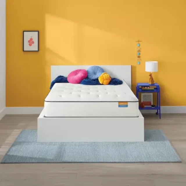 Simmons beautyrest store dreamwell mattress