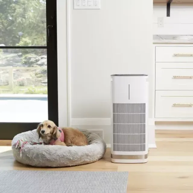 Jcpenney deals air purifier