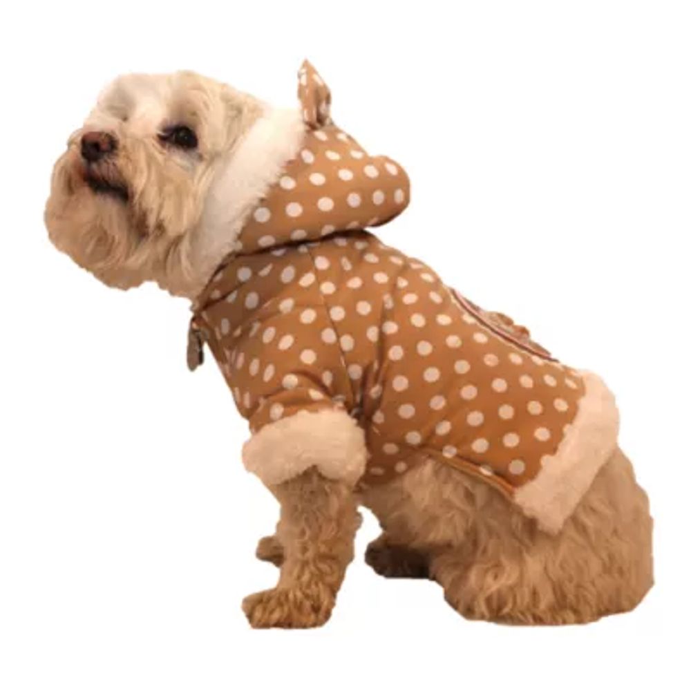 Jcpenney on sale dog sweater