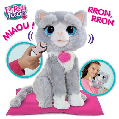 Chat interactif shop