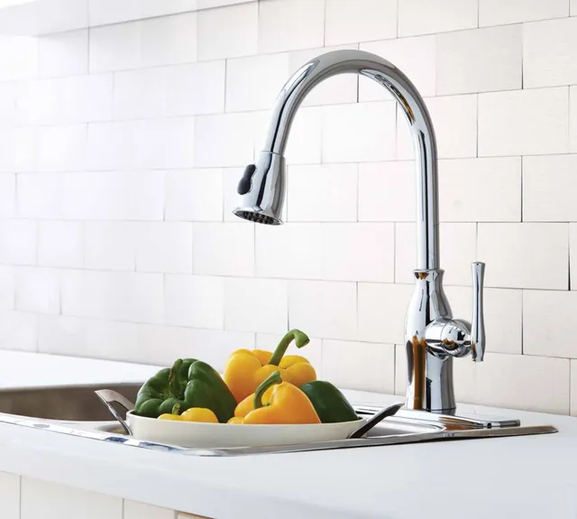 Danze Lisa Pull Down Kitchen Faucet Installation Home Alqu