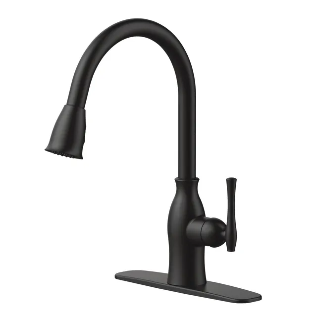 Danze Lisa Kitchen Faucet Installation Home Alqu