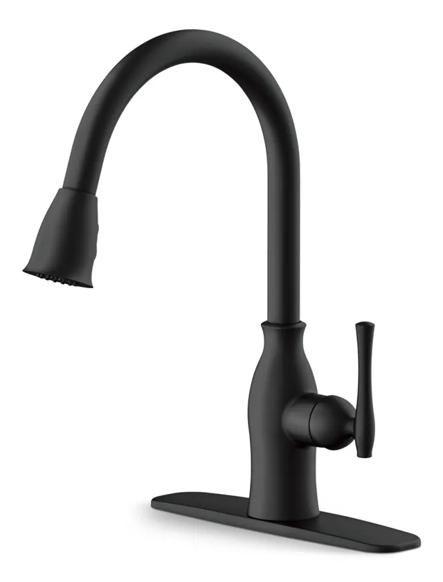 Danze Lisa Pull Down Kitchen Faucet Installation Home Alqu