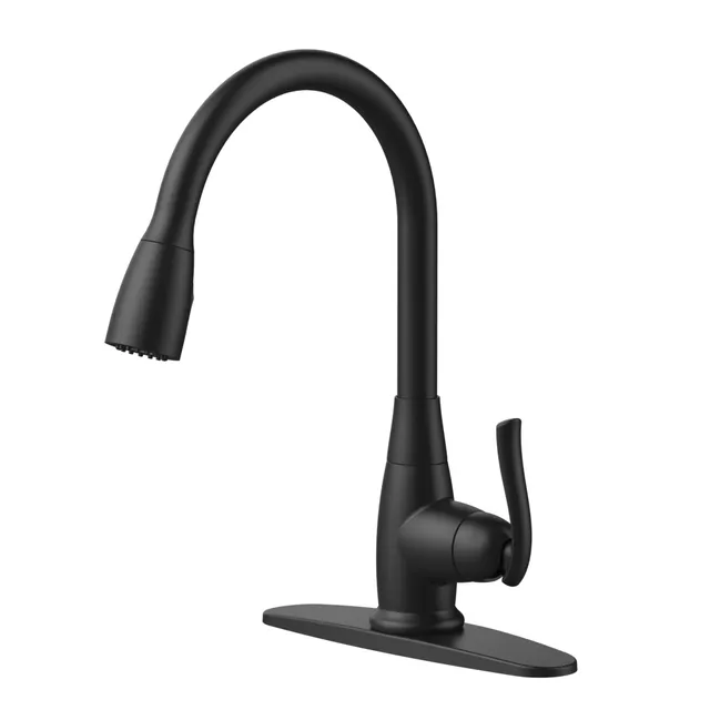 Danze Lisa Kitchen Faucet Installation Home Alqu
