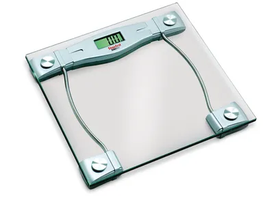 Kitchen scale sale canadian tire