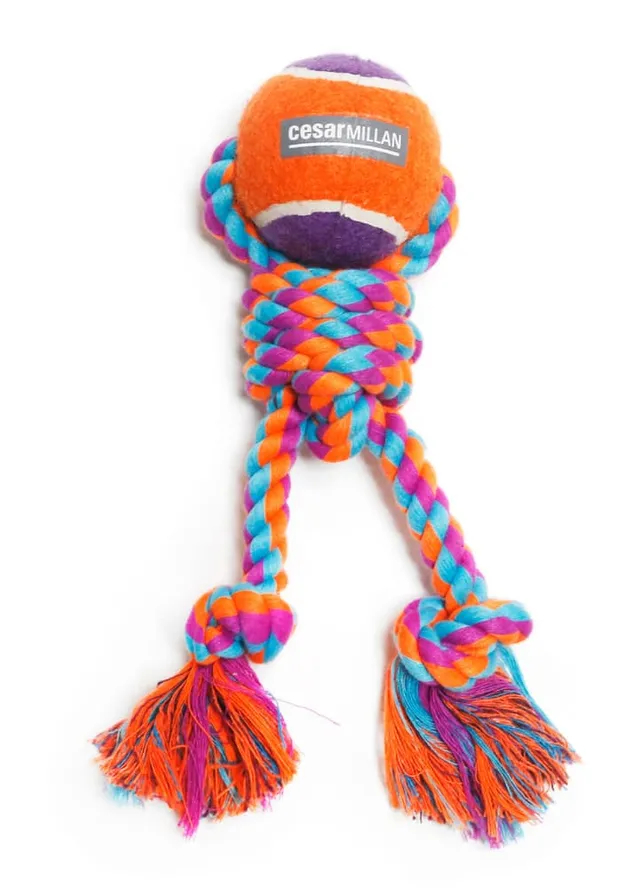 Cesar millan outlet dog toys