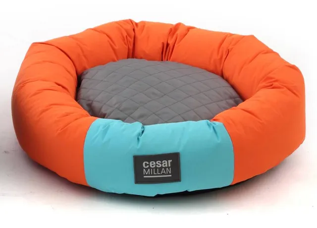 Cesar Millan Folding Pet Travel Bed Hillside Shopping Centre