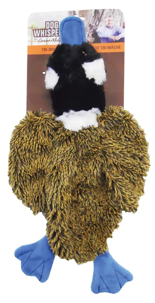 Cesar Millan Non Stuffing Dog Toy Hillside Shopping Centre