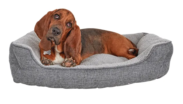 Peaceful nester dog bed discount