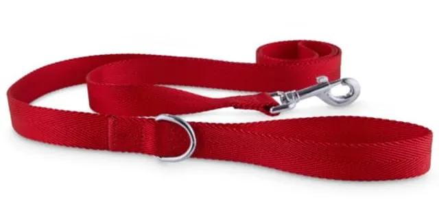 Petco 2024 leather leash