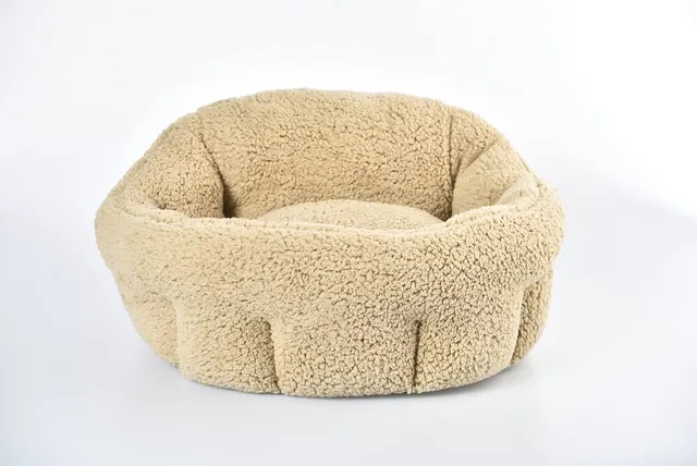 Canadian tire dog outlet beds