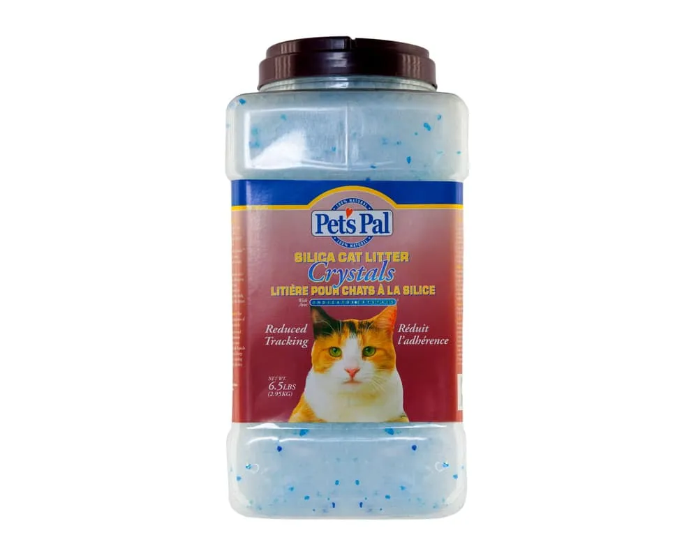 Kitty 2024 litter silica