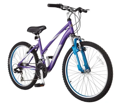 Schwinn teslin online 2.4