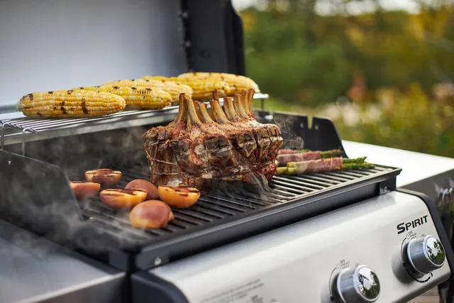 Canadian tire natural gas bbq sale