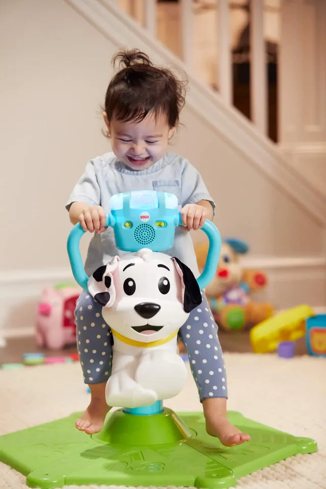 Fisher-Price® Bounce and Spin Puppy Interactive Baby Toy