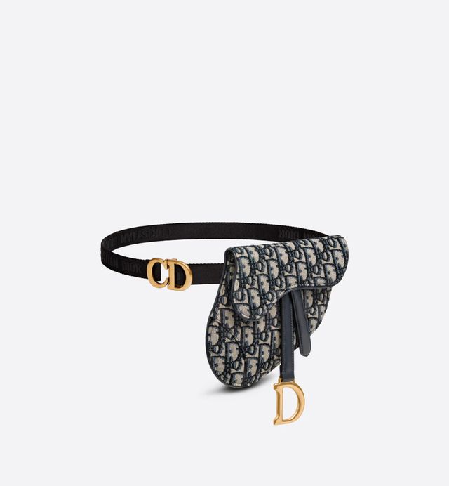 Dior Saddle Belt Pouch Mall of America®