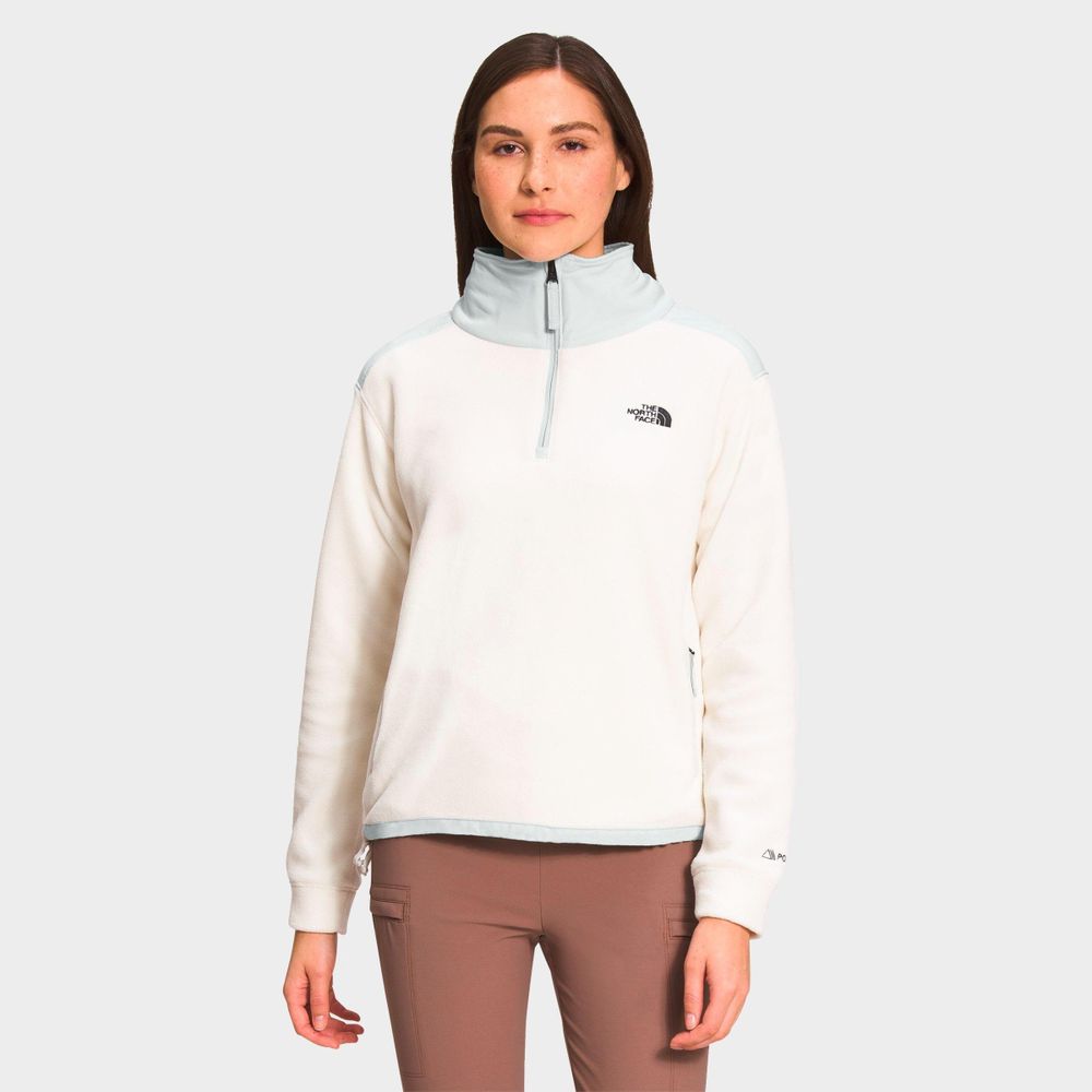 The north face women's glacier outlet alpine full zip jacket