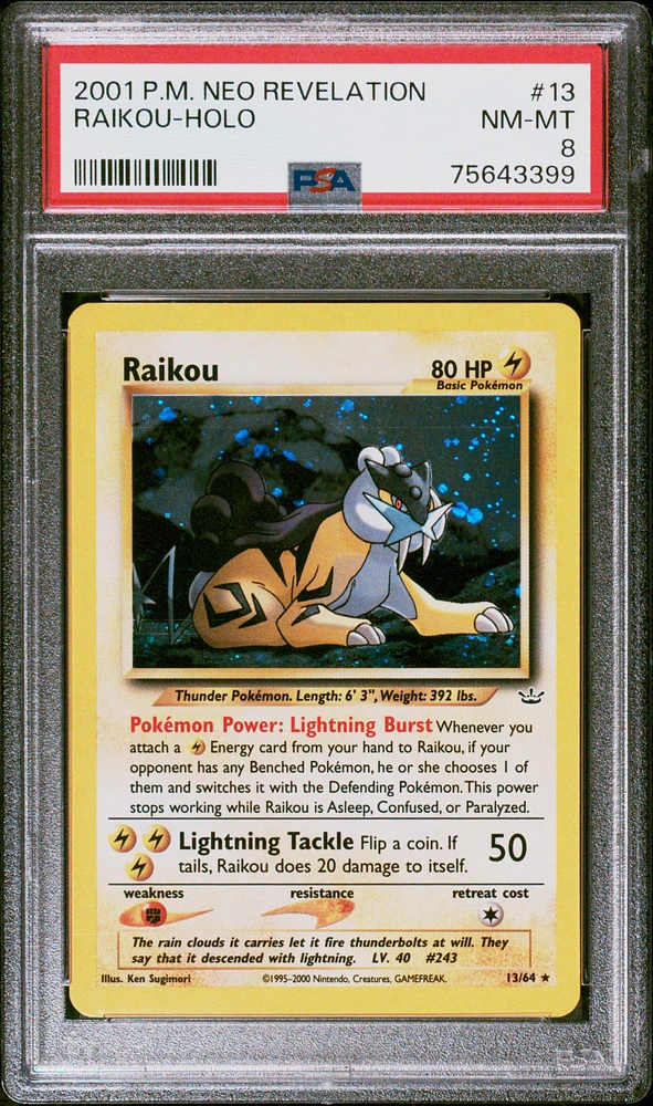 Pokemon Raikou outlet 13