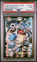 フウロ　xy psa9 高評価のクリスマスプレゼント PSA9鑑定済〕フウロ(SR仕様)【P