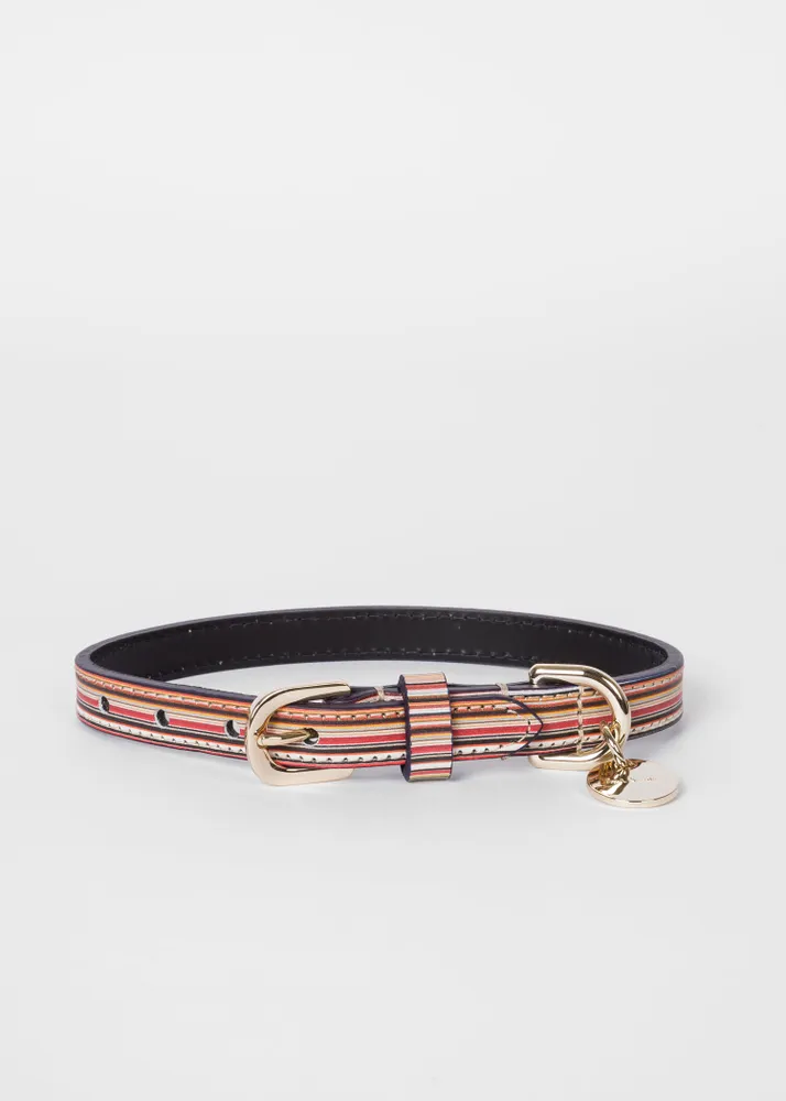 Paul smith dog best sale collar