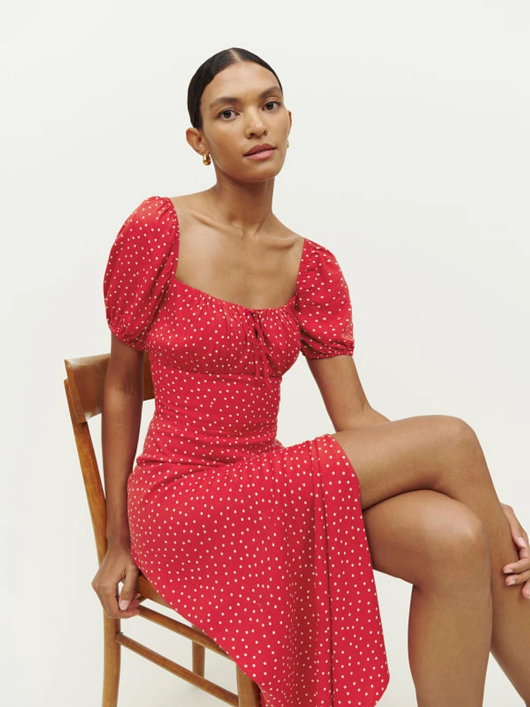 Reformation dane dress on sale